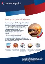 servicios-consultoria-nl