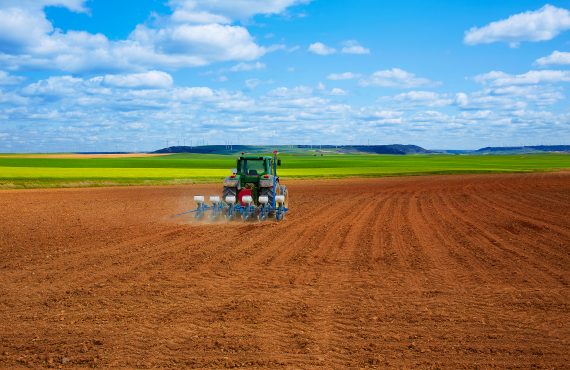 cereal fields by The Way of Saint James in Castilla Leon of Spain