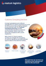 Customs Consulting Services-EN-Thumbnail