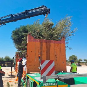 Our-expertise-live-plant-transport Our-expertise-live-plant-transport